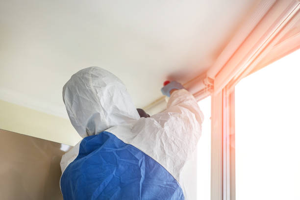 Best Mold Remediation for Vacation Homes  in Newport, RI